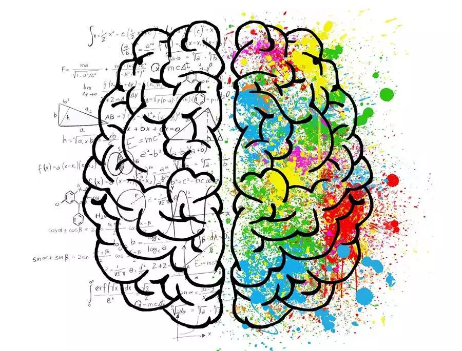 formation entreprise cerveau évolution formation entreprise cerveau évolution