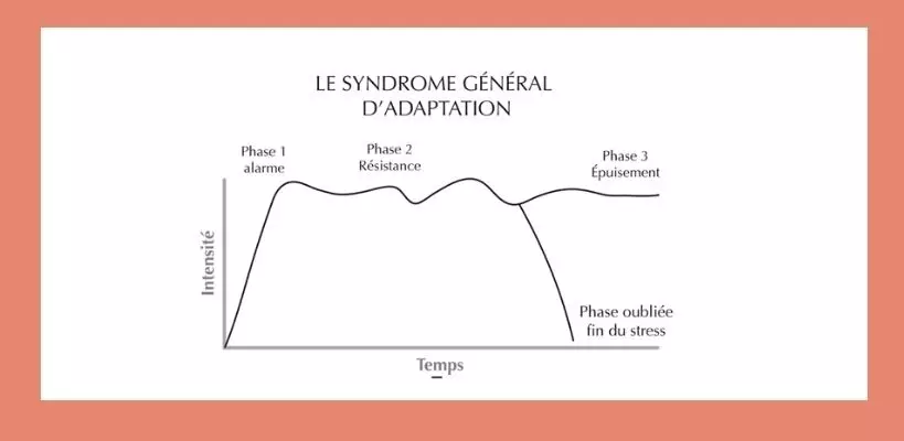 syndrome général d'adaptation stress stress chronique