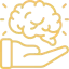 brain