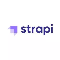 Strapi client La Fabrique de Flow